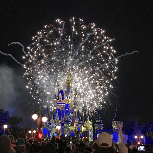 Meet your Posher, Rosa - Picture 1 of 1